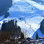Hotel Pod Sokolim